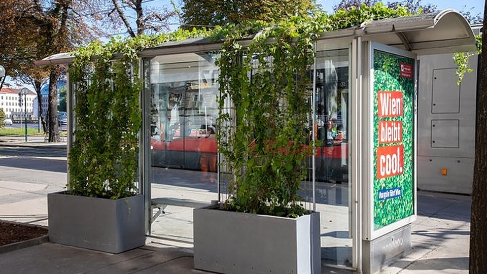 Green-roofed shelter in Vienna, source: Wiener Linien