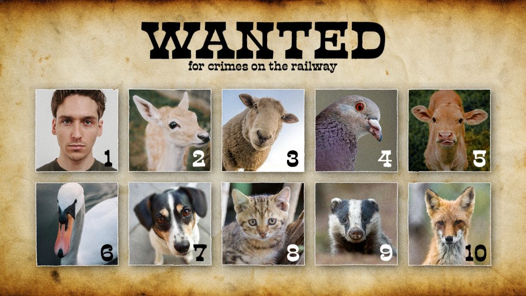 The worst trespassers on UK rail